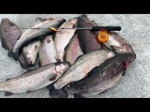 Видео: Эта приманка работает всегда!!! Как форель атакует подо льдом. Зимняя рыбалка в РК Кутузово.