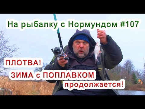 Видео: ЗИМА с ПОПЛАВКОМ продолжается! / На рыбалку с Нормундом #107