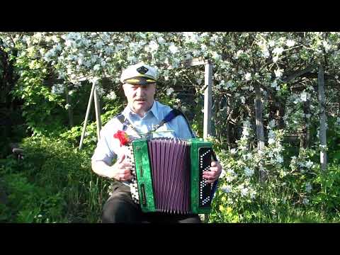 Видео: Отчего так быстро вянут розы