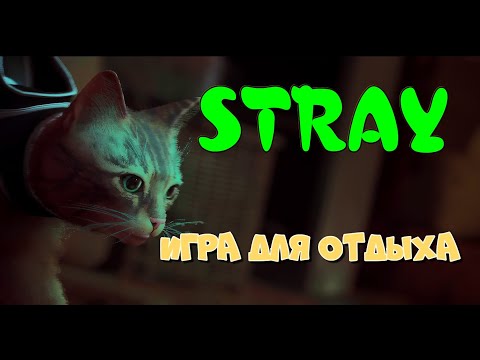 Видео: STRAY, найти Климентину в Митдауне, код от сейфа.