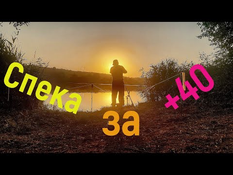 Видео: Рибалка в аномальну спеку. У таку спеку товстолобик клює як шалений.