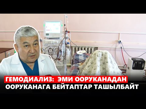 Видео: Гемодиализ:  Эми ооруканадан ооруканага бейтаптар ташылбайт