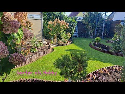 Видео: Гортензии  / Переделки / Посадки на конец октября. 