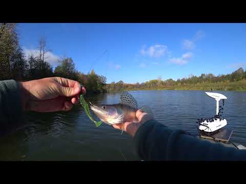 Видео: Рыбалка на не большой реке. Ловим судака в корягах