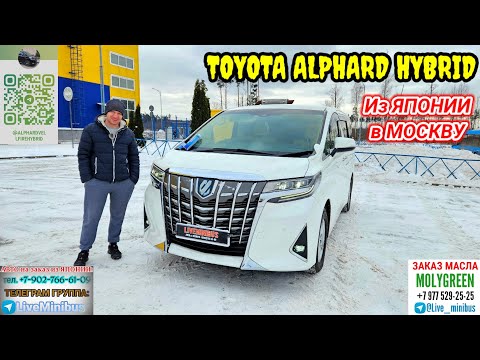 Видео: TOYOTA ALPHARD HYBRID (8 мест). Смотрим что купили и привезли.