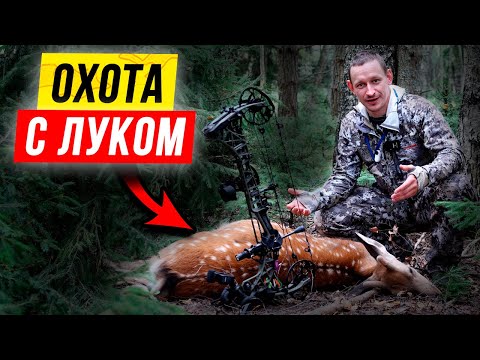 Видео: 🔥 Супер-ОХОТА с блочным луком на ОЛЕНЯ с тристенда! Лук Mathews VXR 28.