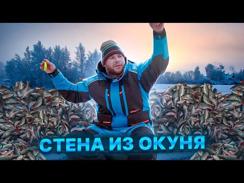 Видео: СТЕНА ИЗ ОКУНЯ