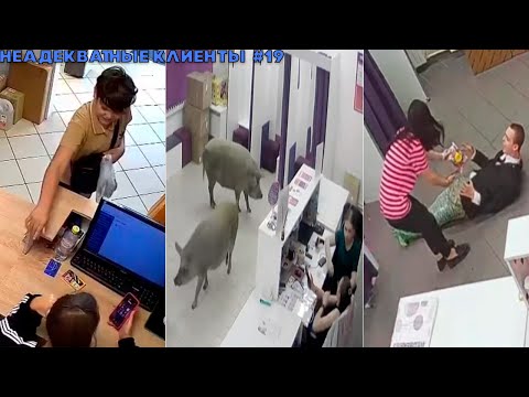 Видео: СКАНДАЛЫ в ПВЗ #19 | Возврат не удался