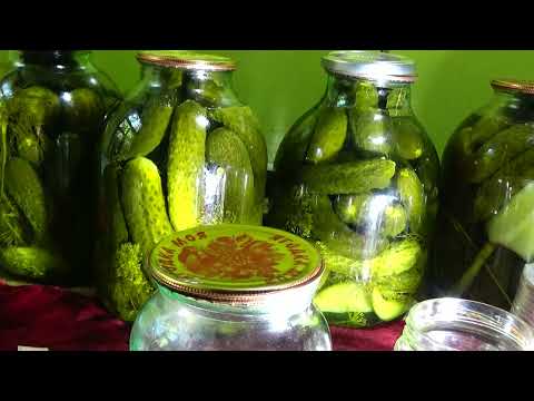 Видео: #Закаточная машинка-настройка ролика .