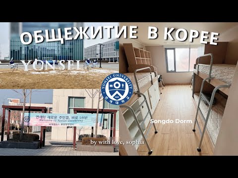 Видео: Общежитие в Корее / Yonsei University, заселение, шоппинг и orientation day