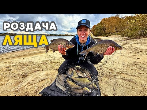 Видео: Ловлю ЛЯЩІВ на міляку‼️ Фідерна рибалка з ночівлею на ДНІПРІ🎣