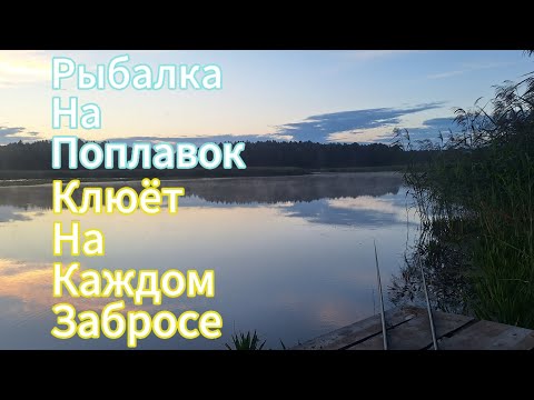 Видео: Рыбалка на карася. Клюёт на КАЖДОМ ЗАБРОСЕ!!! И на ВСЕ удочки.