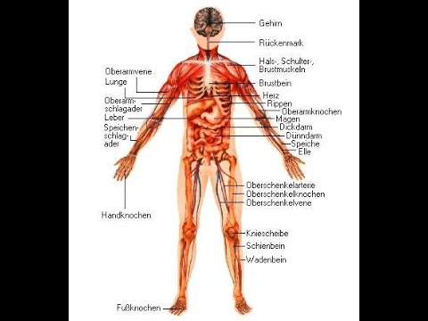 Видео: Поход к врачу. Разговорный модуль 3. Gute Besserung