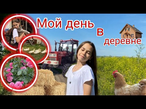 Видео: ВЛОГ🐥| Жизнь в деревне🚜|Собираю ягоды🍓|Готовим печенье🍪|Что мы сделали?|Ваша Даша💕