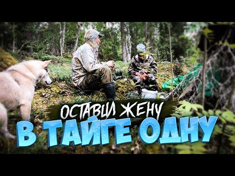 Видео: ПОХОД, РАЗВЕДКА,ХОДОВАЯ ОХОТА,ЧАЙ НА КОСТРЕ.