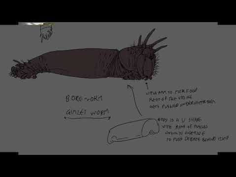 Видео: Давайте спроектируем живую дрель