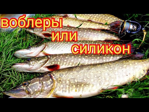 Видео: Весна.Ловля щуки на спиннинг в мае.Воблеры или силикон...