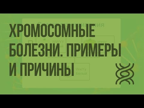 Видео: Хромосомные болезни. Примеры и причины. Видеоурок по биологии 10 класс