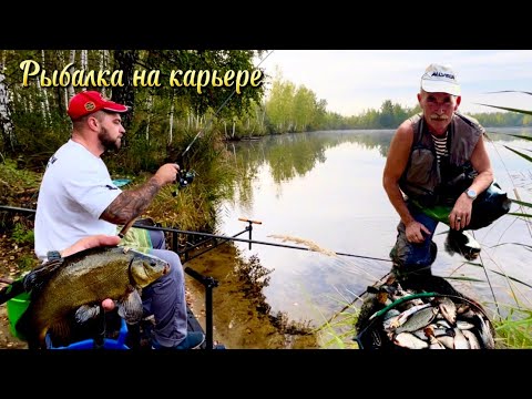 Видео: Рыбалка на карьере . Ловля линя , плотвы ! Осень 2024 #рыбалка #линь