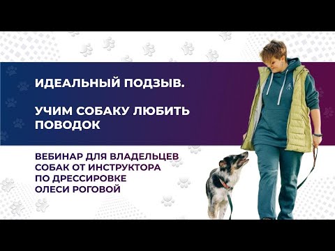 Видео: "ИДЕАЛЬНЫЙ ПОДЗЫВ. Учим любить поводок". Вебинар №4 из серии эфиров.