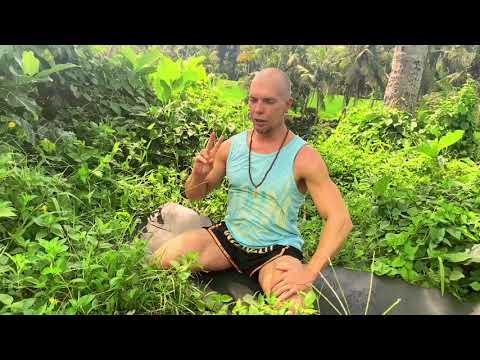 Видео: 7 упражнений для иммунитета. Лимфатическая система, лимфоузлы.