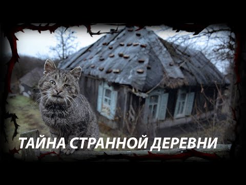 Видео: Тайна забытой деревни   Мистические истории | Дневник историй  The WITCH part five  |Rituals