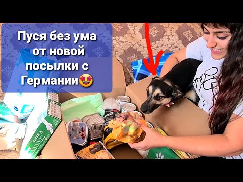 Видео: Распаковка посылки для хвостиков. Смогла ли я поймать Персика?!