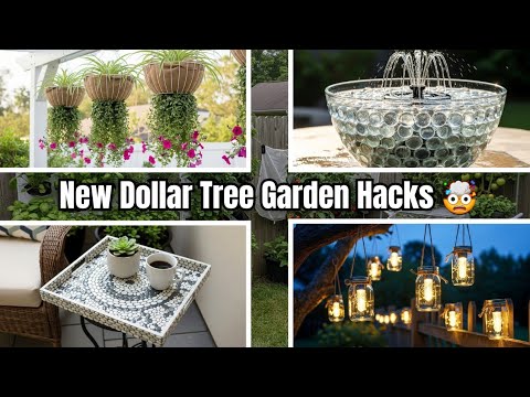 Видео: 10 гениальных идей для сада с долларовыми деревьями, которые выглядят как дизайнерский декор — и ...