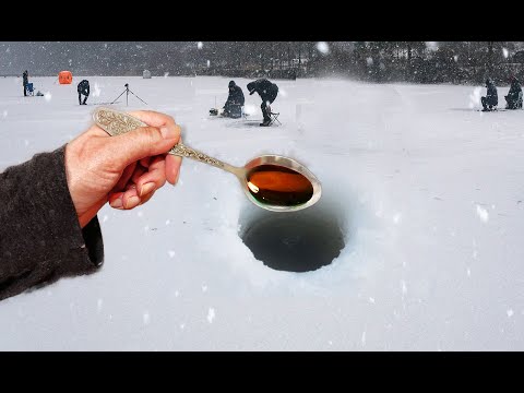 Видео: ЛОЖКА ЭТОГО! ВСЯ РЫБА КЛЮЁТ! ВОЛОСЫ ДЫБОМ ВСТАЮТ!