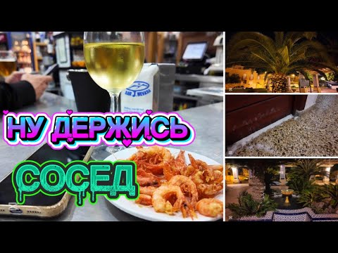 Видео: ИСПАНИЯ ВЛОГ. ТОЛЬКО БЫ НЕ ОТРАВИТЬ СОСЕДА И ЕГО СОБАКУ😂😂😄