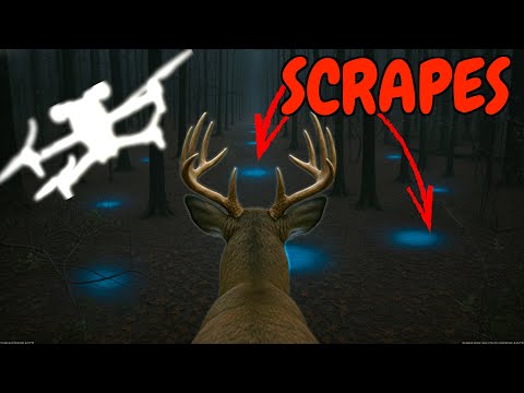 Видео: Как олени видят царапины: обзор данных с теплового дрона