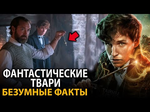 Видео: Фантастические твари (все фильмы) - удивительные факты, о которых мало кто знает