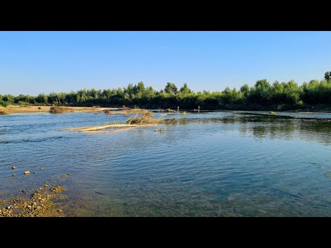 Видео: Вниз За течією. РИБАЛКА На р.Прут