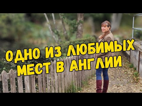 Видео: 929. ОСЕННИЙ УЮТНЫЙ ВЛОГ. УГОЛКИ ВДОХНОВЕНИЯ.