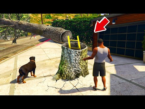 Видео: АҒАШТЫҢ ІШІНЕН ҚҰПИЯ БУНКЕР ШЫҚТЫ (GTA V)