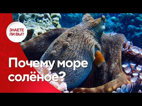 Видео: 🌊 Почему море соленое?