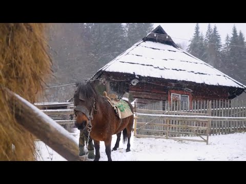 Видео: Ясіня - Столиця ГуцульськоЇ республіки 1918-1919 року