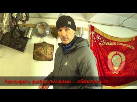 Видео: Солим и вялим гольца.