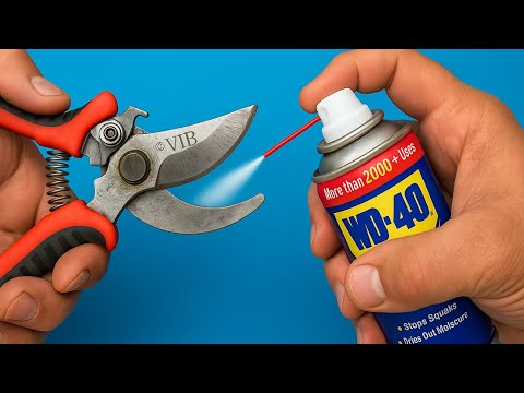 Видео: Гениальный трюк! Сделайте секатор острым как бритва за 5 минут с помощью этого инструмента