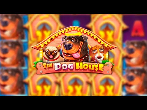 Видео: ЛОВИМ ДОРОГИЕ БОНУСКИ НА 100К В DOG HOUSE (ГОРИТ)🔥