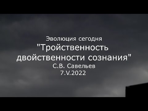 Видео: С.В. Савельев - Тройственность двойственности сознания