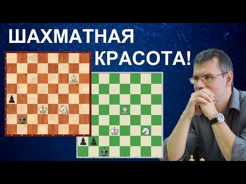 Видео: Шахматы. Эти ДВЕ ПОЗИЦИИ должен решить КАЖДЫЙ ШАХМАТИСТ!