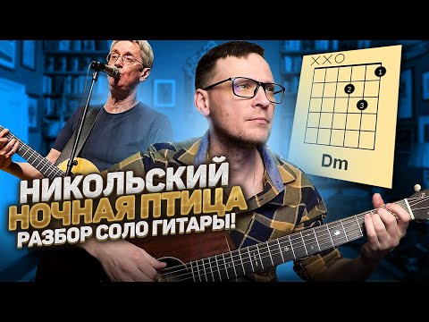 Видео: Никольский - Ночная птица соло на гитаре 🎸 кавер табы аккорды