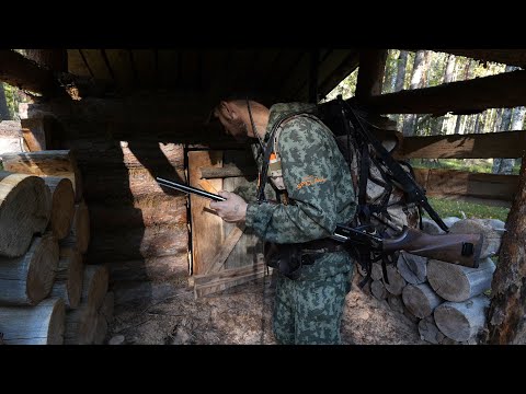 Видео: МЕДВЕДИЦА. ОХОТА НА БЛИЖНЕЙ ИЗБЕ. ПОХОД НА ЗАБРОШКУ. ДОБЫЛ МЯСА НА УЖИН