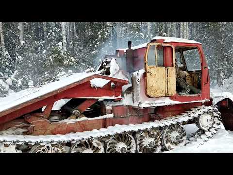 Видео: Тракторам из СССР морозы не страшны.Работаем в -35°