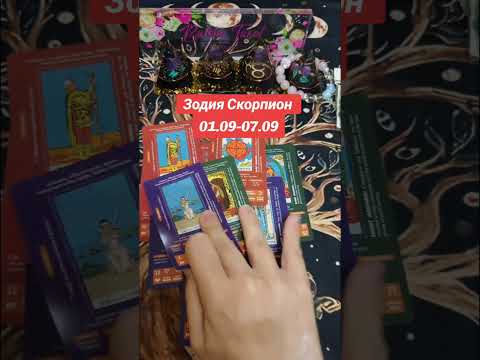 Видео: Седмична Прогноза за Риби Рак и Скорпион - Какво ви очаква първата седмица на Септември?
