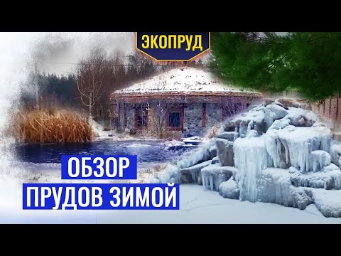 Видео: Обзор прудов зимой