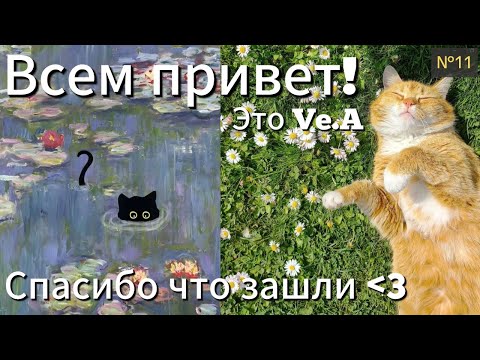 Видео: Сборник распаковок за апрель-май 2024 | Ve.A