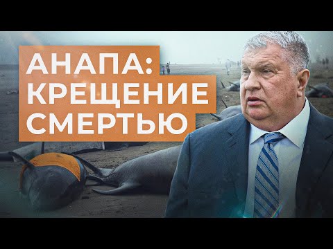 Видео: Анапа. Убрались на все! // Александр Батов. Что делать