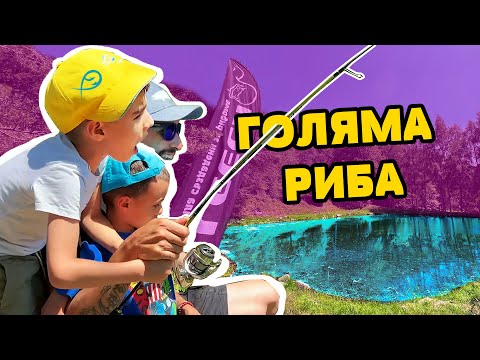 Видео: ТРИМА ЧОВЕКА ВАДЯТ ЕДНА РИБА!!! НЕУДЪРЖИМИТЕ 2!!! Риболов на пъстърва, щука и шаран на с. Гинци